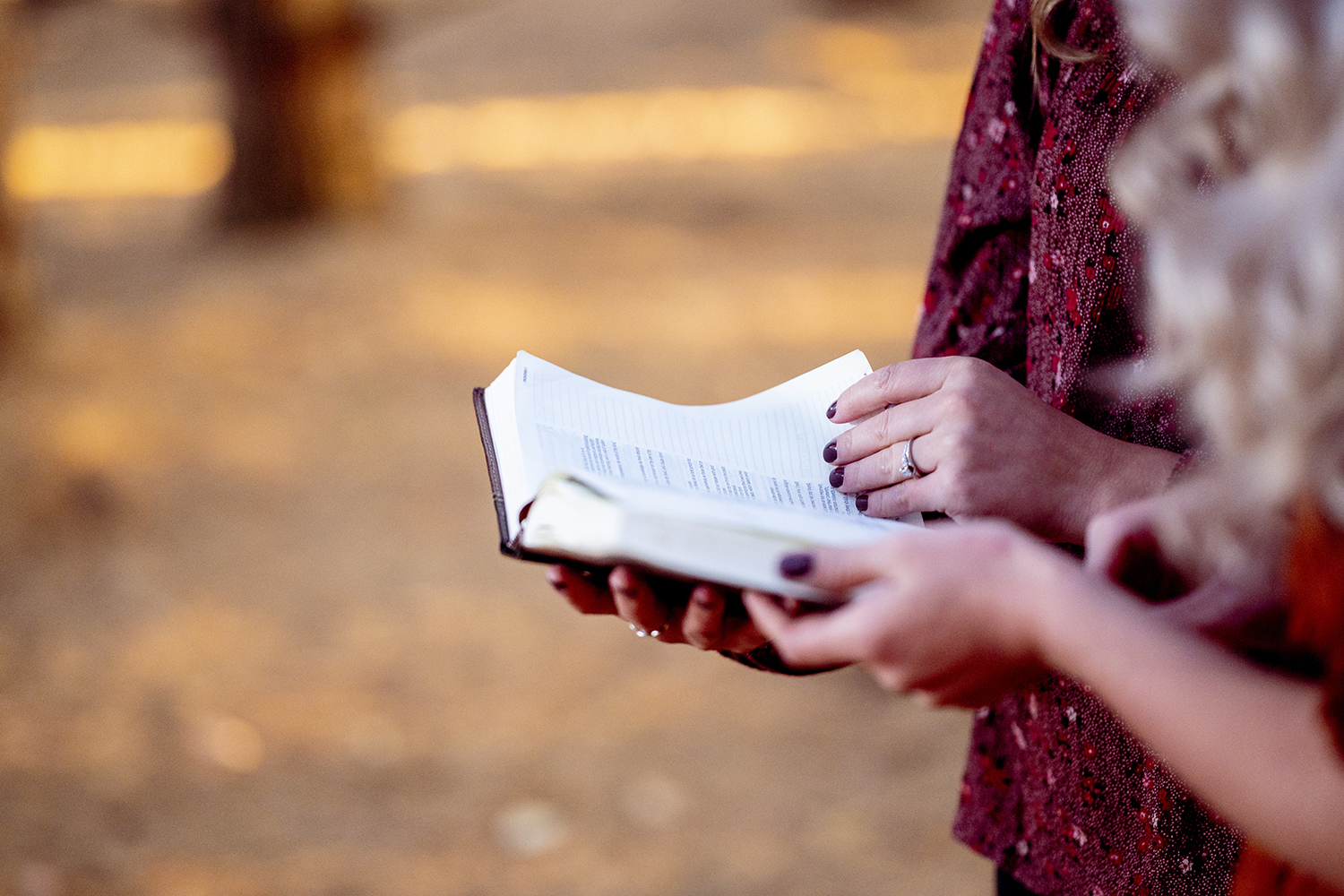 ¿Entiendes lo que lees?: Algunos principios para estudiar la Biblia