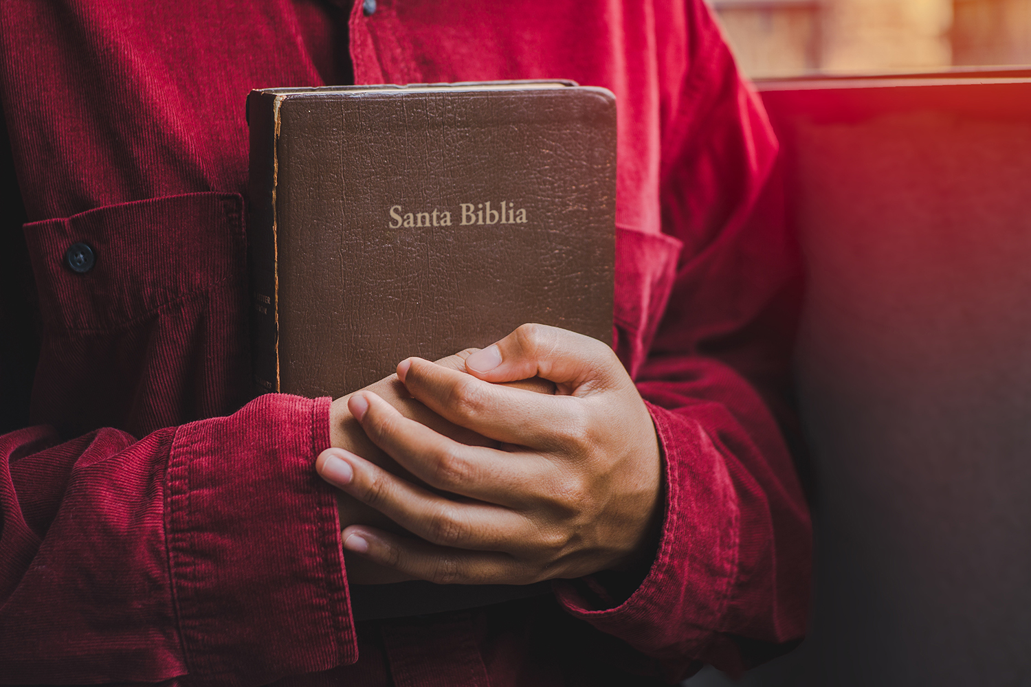 La Palabra más segura: Razones para confiar en la Biblia
