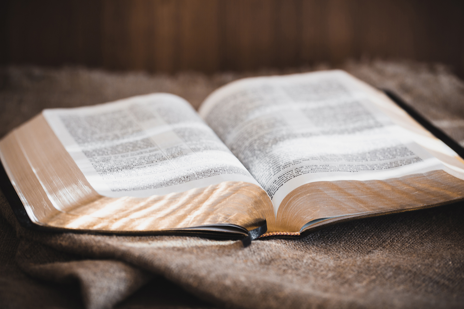 La teología y la Sola Escritura