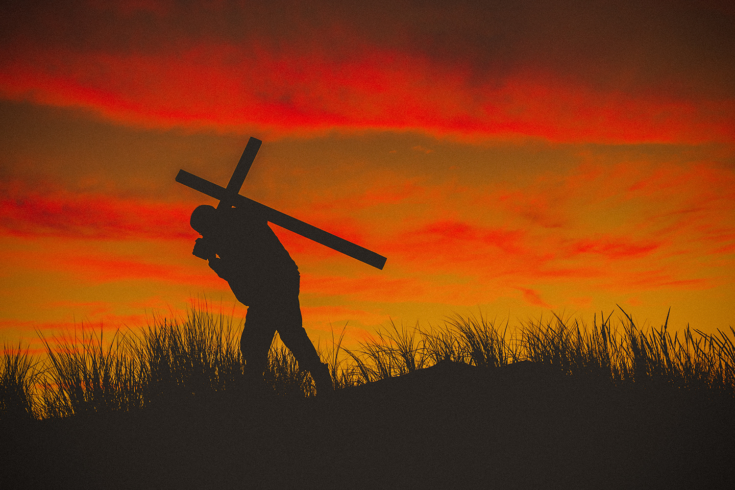 Jesús no nos libra de cargar nuestra cruz