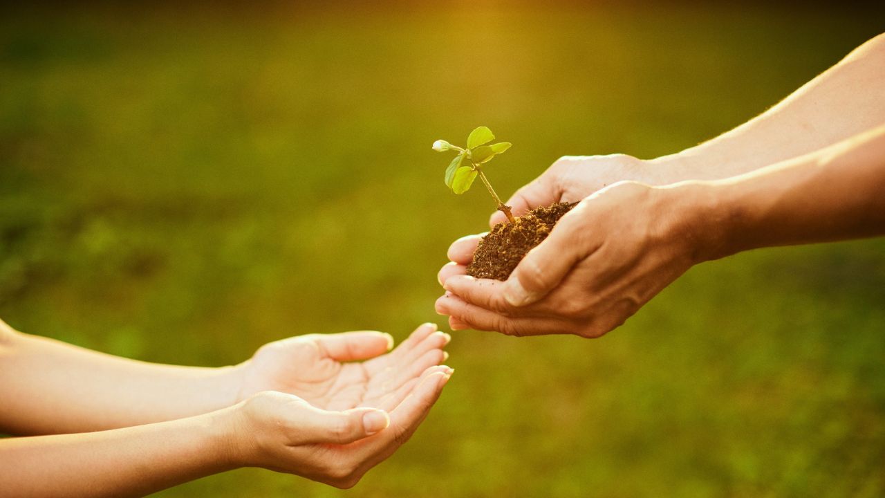 Teología para vivir